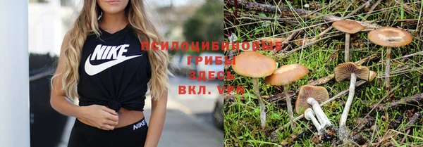 а пвп мука Абинск