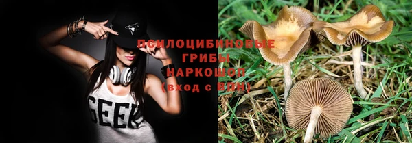 круглые Саяногорск