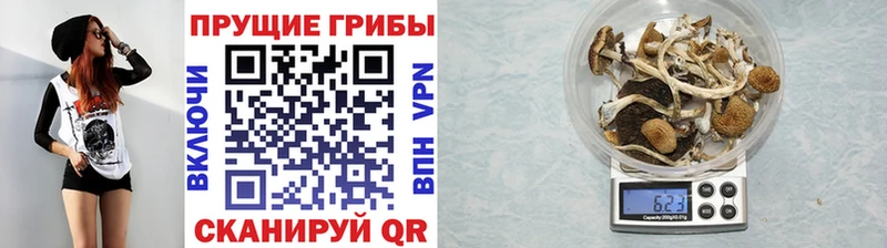 Галлюциногенные грибы Magic Shrooms  Киренск 